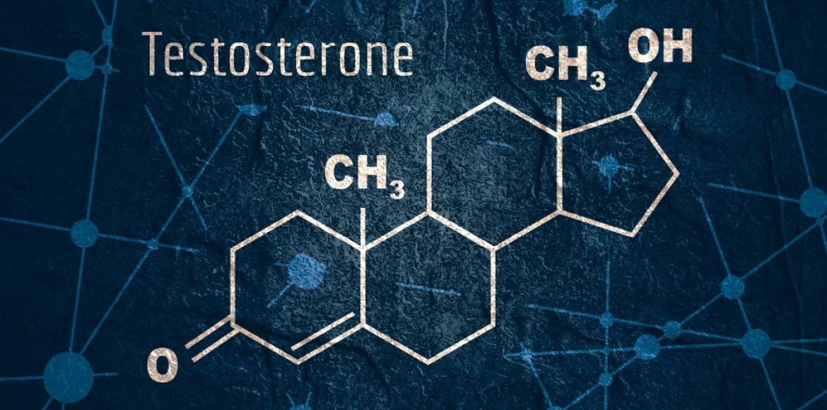 Testost rone r le traitements dosages risques lanutrition fr