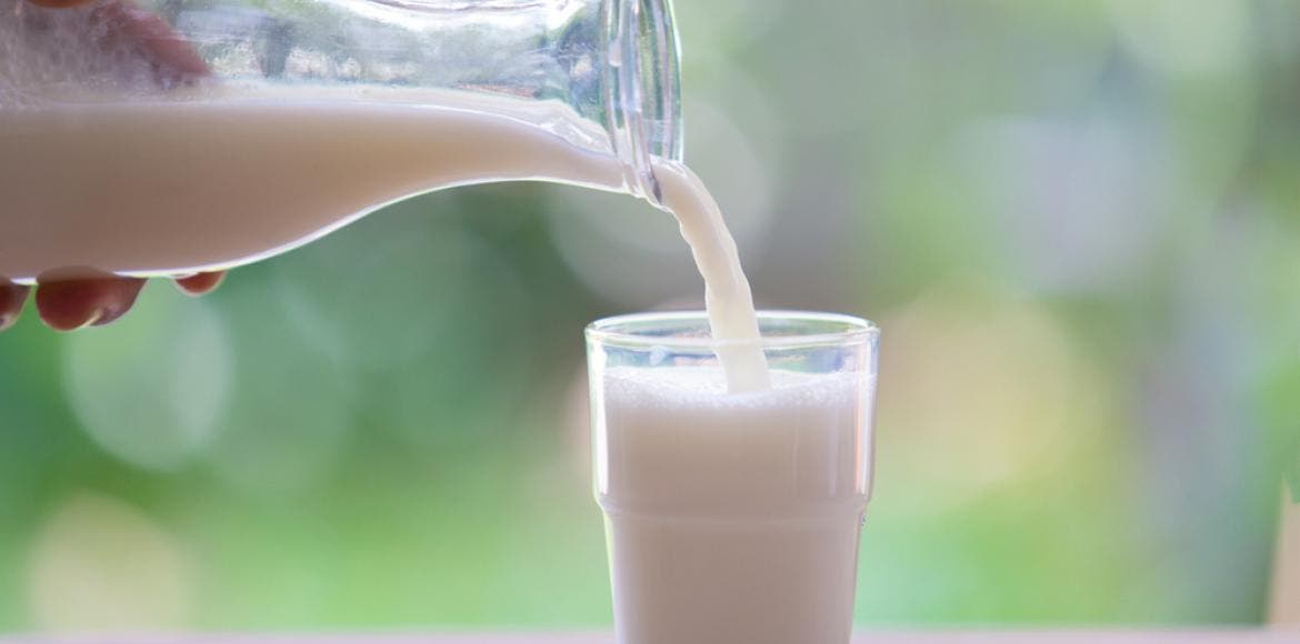 10 Avantages de la protéine de lait pour la santé 